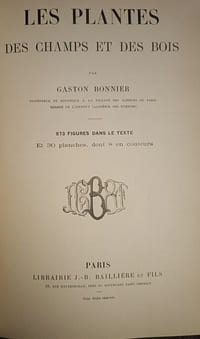 Les plantes des champs et des bois