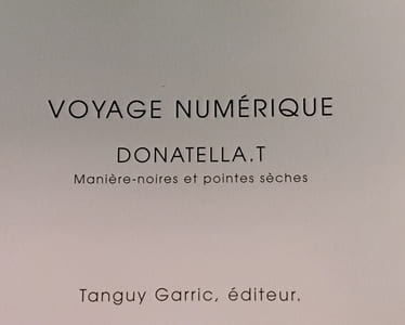 Voyage numerique 