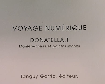 Voyage numerique . Donatella