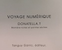 Voyage numerique . Donatella