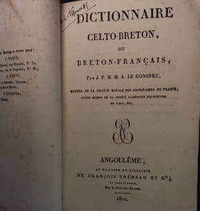 Dictionnaire celto breton 
Ou breton français 