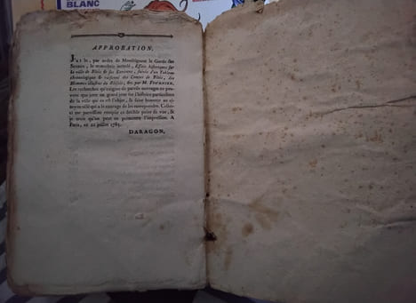 Essais historiques de la ville de Blois et de ses environs . Fournier