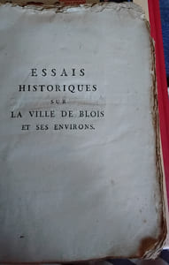 Essais historiques de la ville de Blois et de ses environs 