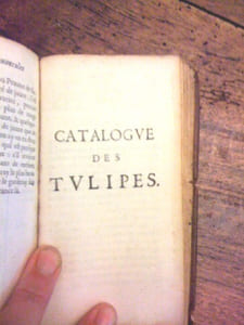 Remarques necessaires pour la culture des fleurs
La maniere avec laquelle il les faut cultiver et les ouvrages qu il faut faire selon chaque mois de l année. 1670