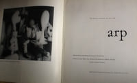 arp
museum of modern art
new york