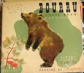 bourru l'ours brun
