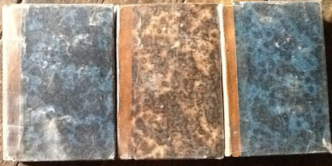 le pavillon de Caroline ou La petite Societe En 3 volumes. delafaye brebier julies