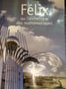 felix ou l'esthetique des mathematiques 9782862275109. felix