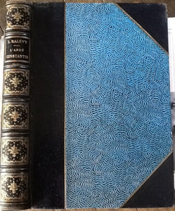 L'ABBE CONSTANTIN.
HALEVY Ludovic
Edité par Calmann-Lévy/ Boussod, Valadon et Cie,, 1888