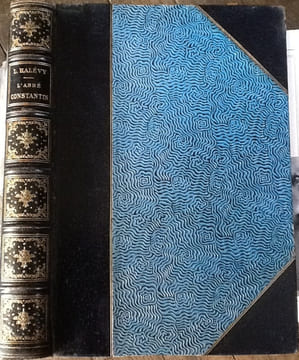 L'ABBE CONSTANTIN.
HALEVY Ludovic
Edité par Calmann-Lévy/ Boussod, Valadon et Cie,, 1888. havely ludovic