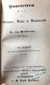 quartetten violinen , viola & vioncella