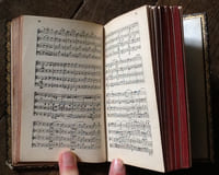quartetten violinen , viola & vioncella