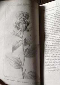 ANNALES DU MUSEE ET DE L' ECOLE MODERNE DES BEAUX-ARTS. TOME PREMIER : RECUEIL DE GRAVURES AU TRAIT. 
