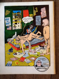 fabuleuses aventures des freak brothers