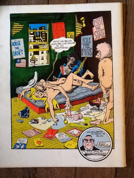 fabuleuses aventures des freak brothers. gilbert shelton