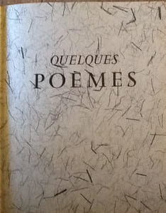Quelques poèmes.
