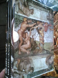 MICHEL-ANGE PEINTRE, SCULPTEUR, ARCHITECTE, EN 3 VOLUMES
ALESSANDRO NOVA, ENZO NOE GIRARDI ET PIER LUIGI DE VECCHI