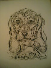 Dix portraits de betes
. Gabrielle Bouffay preface de Minou Drouet