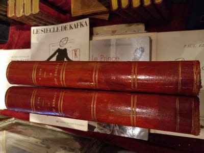 Le juif errant  illustrations de Ferdinandus