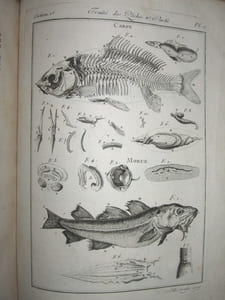 Descriptions des Arts et Métiers. Tome X contenant les deux premières sections de la seconde partie du Traité des Pêches.