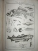 Descriptions des Arts et Métiers. Tome X contenant les deux premières sections de la seconde partie du Traité des Pêches.. BERTRAND, J. E. ; [ DUHAMEL ...