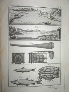 Descriptions des Arts et Métiers. Tome X contenant les deux premières sections de la seconde partie du Traité des Pêches.