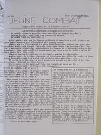 "L'union de la jeunesse juive" et ses groupes de combat dans la lutte contre l'occupation nazie et le régime de Vichy. Zone Sud.