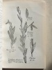 Flore Agronomique des Antilles Françaises. Vol. III : Flore des Légumineuses et anti-érosion. STEHLE, Henri et Madelein [ Stehlé, Henri (1909-1983) et ...