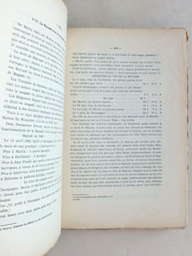 Histoire du Doyenné et de la Paroisse de Moyrax du XIe au XXe siècle.. DUBOURG, Chanoine P.
