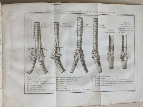 Annales de Chimie et de Physique. 1826 - Volume 2 : Tome Trente-Deuxième [ Tome 32 - tome XXXII ] : Note concernant les phénomènes magnétiques ...