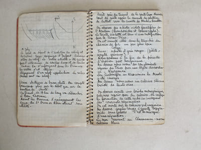Section d'Etudes des Gîtes Minéraux. Service Géologique du Maroc. Rabat. Carnet de Bled commencé le 12 novembre 1955. [ On joint : ] Notes de terrain 1953-1959