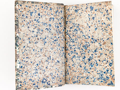 Histoire Naturelle des Oiseaux, par Leclerc de Buffon. Tome Douzième [ Tome 12 seul ] Rédigé par C.S. Sonnini. LECLERC DE BUFFON ; SONNINI, C. S.