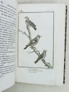 Histoire Naturelle des Oiseaux, par Leclerc de Buffon. Tome Douzième [ Tome 12 seul ] Rédigé par C.S. Sonnini