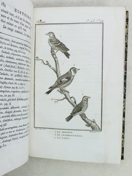 Histoire Naturelle des Oiseaux, par Leclerc de Buffon. Tome Douzième [ Tome 12 seul ] Rédigé par C.S. Sonnini. LECLERC DE BUFFON ; SONNINI, C. S.