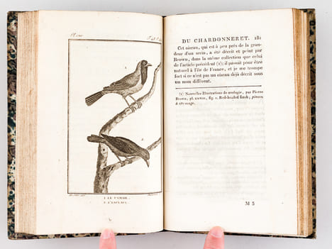 Histoire Naturelle des Oiseaux, par Leclerc de Buffon. Tome Douzième [ Tome 12 seul ] Rédigé par C.S. Sonnini. LECLERC DE BUFFON ; SONNINI, C. S.