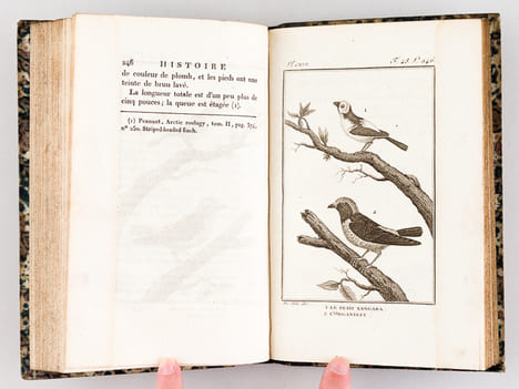 Histoire Naturelle des Oiseaux, par Leclerc de Buffon. Tome Douzième [ Tome 12 seul ] Rédigé par C.S. Sonnini. LECLERC DE BUFFON ; SONNINI, C. S.