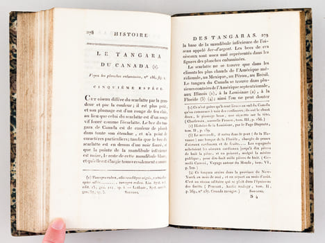 Histoire Naturelle des Oiseaux, par Leclerc de Buffon. Tome Douzième [ Tome 12 seul ] Rédigé par C.S. Sonnini. LECLERC DE BUFFON ; SONNINI, C. S.