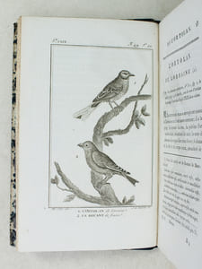 Histoire Naturelle des Oiseaux, par Leclerc de Buffon. Tome Treizième [ Tome 13 seul ] Rédigé par C.S. Sonnini