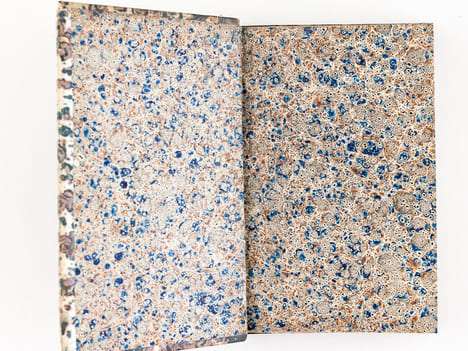 Histoire Naturelle des Oiseaux, par Leclerc de Buffon. Tome Quatorzième [ Tome 14 seul ] Rédigé par C.S. Sonnini. LECLERC DE BUFFON ; SONNINI, C. S.