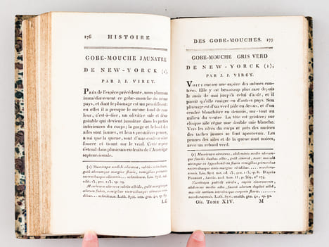 Histoire Naturelle des Oiseaux, par Leclerc de Buffon. Tome Quatorzième [ Tome 14 seul ] Rédigé par C.S. Sonnini. LECLERC DE BUFFON ; SONNINI, C. S.
