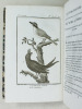 Histoire Naturelle des Oiseaux, par Leclerc de Buffon. Tome Quatorzième [ Tome 14 seul ] Rédigé par C.S. Sonnini. LECLERC DE BUFFON ; SONNINI, C. S.