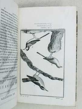 Histoire Naturelle des Oiseaux, par Leclerc de Buffon. Tome Quinzième [ Tome 15 seul ] Rédigé par C.S. Sonnini. LECLERC DE BUFFON ; SONNINI, C. S.