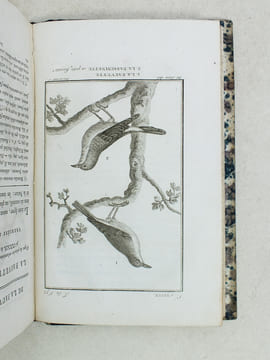 Histoire Naturelle des Oiseaux, par Leclerc de Buffon. Tome Quinzième [ Tome 15 seul ] Rédigé par C.S. Sonnini. LECLERC DE BUFFON ; SONNINI, C. S.