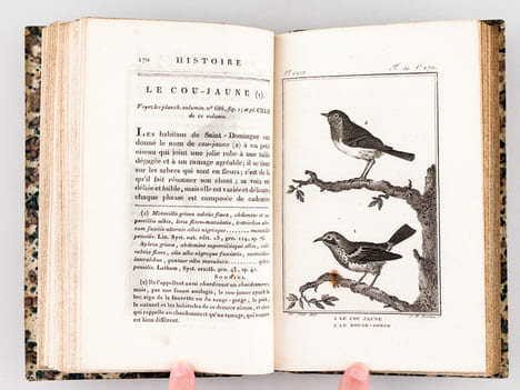 Histoire Naturelle des Oiseaux, par Leclerc de Buffon. Tome Quinzième [ Tome 15 seul ] Rédigé par C.S. Sonnini. LECLERC DE BUFFON ; SONNINI, C. S.