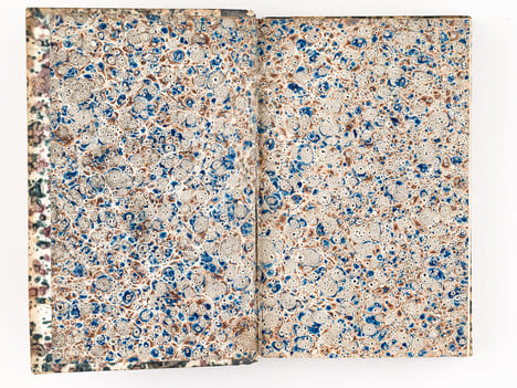 Histoire Naturelle des Oiseaux, par Leclerc de Buffon. Tome Quinzième [ Tome 15 seul ] Rédigé par C.S. Sonnini. LECLERC DE BUFFON ; SONNINI, C. S.