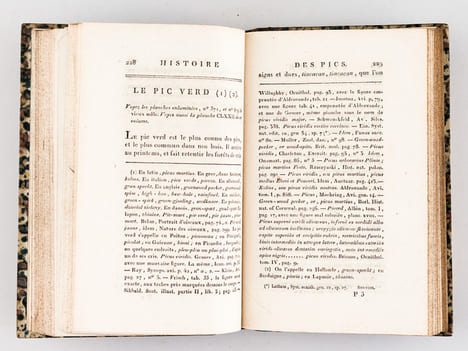 Histoire Naturelle des Oiseaux, par Leclerc de Buffon. Tome Dix-Neuvième [ Tome 19 seul ] Rédigé par C.S. Sonnini. LECLERC DE BUFFON ; SONNINI, C. S.