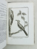 Histoire Naturelle des Oiseaux, par Leclerc de Buffon. Tome Dix-Neuvième [ Tome 19 seul ] Rédigé par C.S. Sonnini. LECLERC DE BUFFON ; SONNINI, C. S.