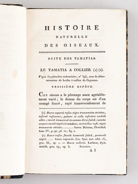 Histoire Naturelle des Oiseaux, par Leclerc de Buffon. Tome Vingtième [ Tome 20 seul ] Rédigé par C.S. Sonnini. LECLERC DE BUFFON ; SONNINI, C. S.