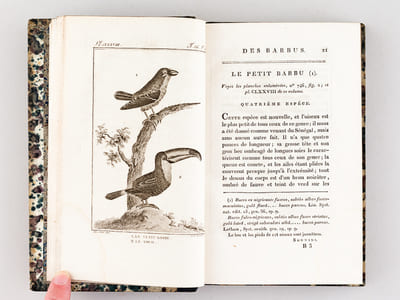 Histoire Naturelle des Oiseaux, par Leclerc de Buffon. Tome Vingtième [ Tome 20 seul ] Rédigé par C.S. Sonnini