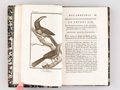 Histoire Naturelle des Oiseaux, par Leclerc de Buffon. Tome Vingtième [ Tome 20 seul ] Rédigé par C.S. Sonnini